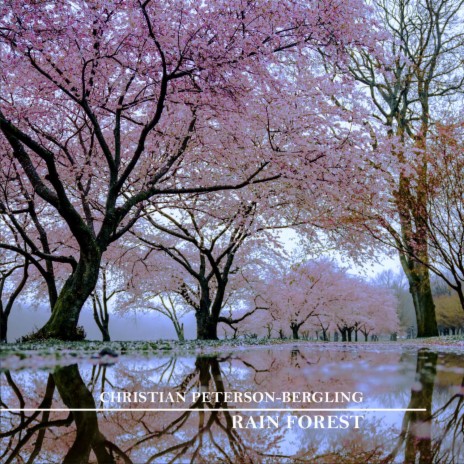 Rain Forest | Boomplay Music