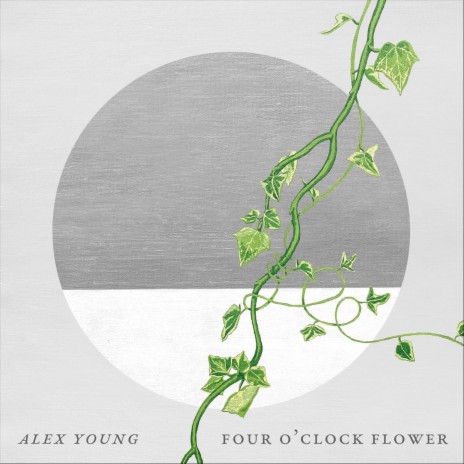 Four O'clock Flower | Boomplay Music