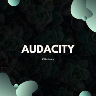 Audacity