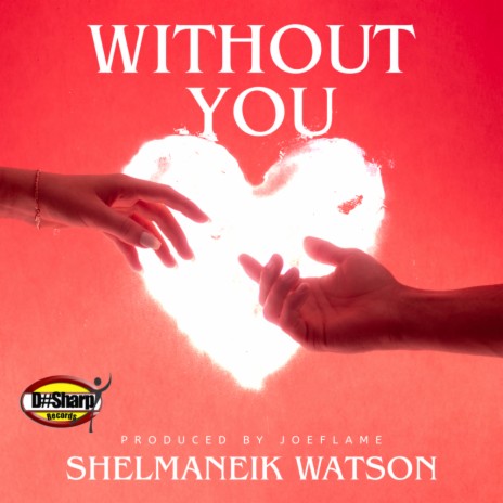 Without You (Joeflame Remix Inst) | Boomplay Music