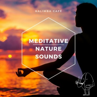 Meditative Nature Sounds