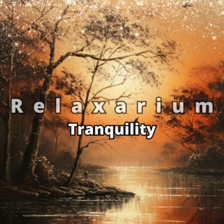 Tranquility: Soothing Instrumental Music - Peacefulness, Mindfulness, Pilates, Aromatherapy, Health & Relaxation