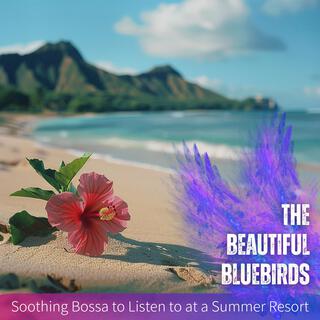 Soothing Bossa to Listen to at a Summer Resort