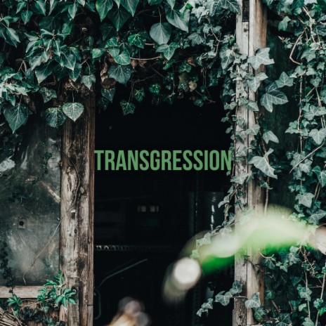 Transgression | Boomplay Music