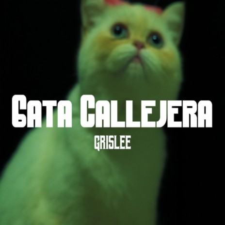 Gata Callejera | Boomplay Music