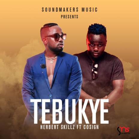 Tebukye (feat. Cosign) | Boomplay Music