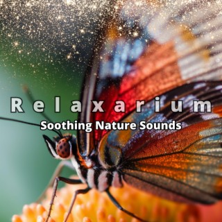 Soothing Nature Sounds - Peace and Joy, Mindfulness, Yoga, Aromatherapy & Wellness