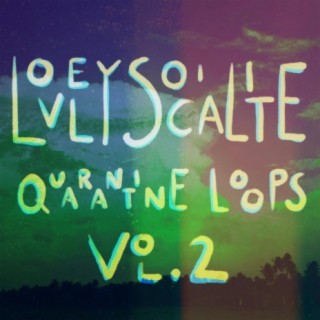 Quarantine Loops, Vol. 2