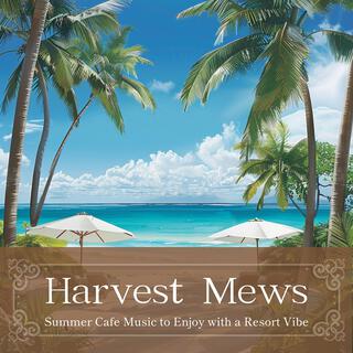 Summer Cafe Music to Enjoy with a Resort Vibe