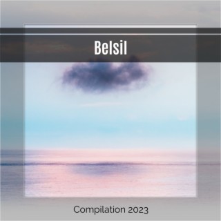 Belsil
