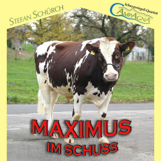 Maximus im Schuss