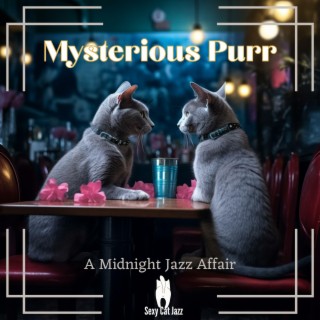 Mysterious Purr: A Midnight Jazz Affair