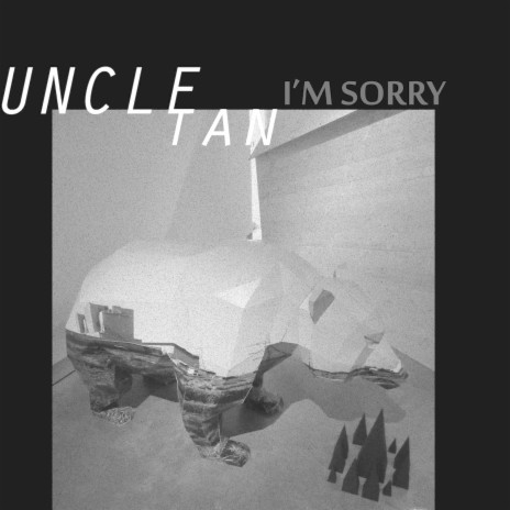 I'm Sorry | Boomplay Music