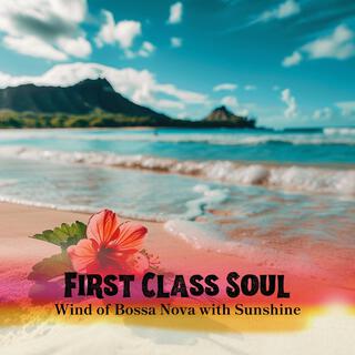 Wind of Bossa Nova with Sunshine