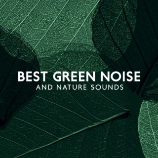 BEST GREEN NOISE AND NATURE SOUNDS – 500 Hz Relaxing Bgm (Birds In The Tropical Forest)