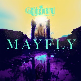 Mayfly lyrics | Boomplay Music