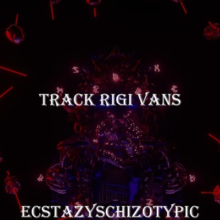 Track Rigi Vans