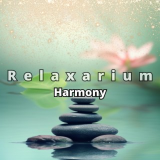 Harmony: Calming Ambient Melodies - Balance and Happiness, Tai Chi, Reiki, Beauty & Holistic Therapy