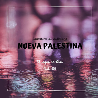 Misterio de Alabanza Nueva Palestina, Vol. 6: El Toque de Dios