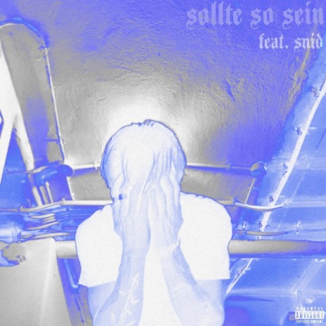 sollte so sein (feat. Snid) | Boomplay Music