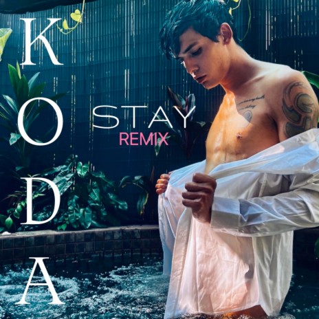 Stay (Remix)