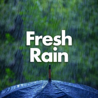 Fresh Rain