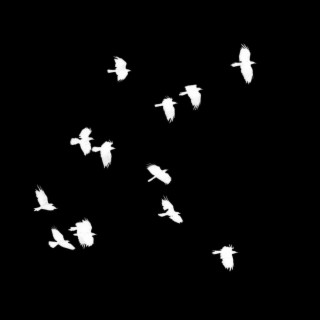 birds in the sky lyrics | Boomplay Music