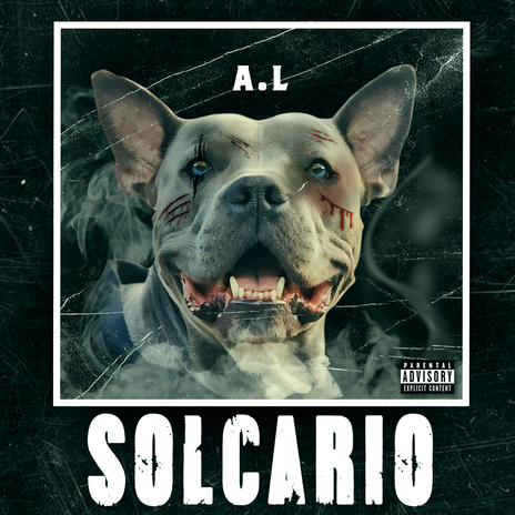 Solcario | Boomplay Music