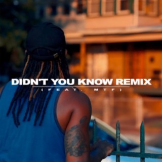 Didn't You Know (Remix)