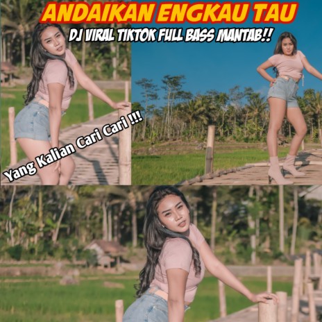 DJ Andaikan Engkau Tau | Boomplay Music