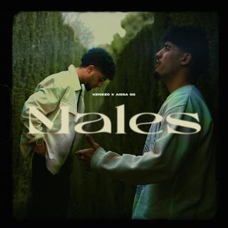 MALES ft. AISSA SG lyrics | Boomplay Music