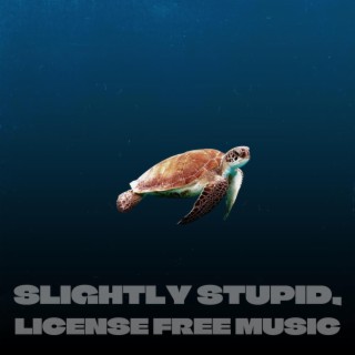 Slightly Stupid, License Free Music