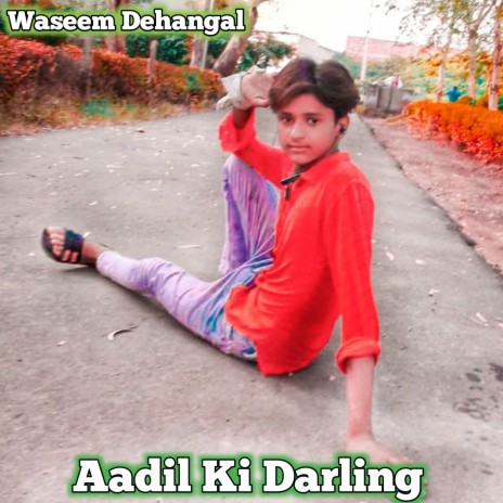 Aadil Ki Darling (Mewati)