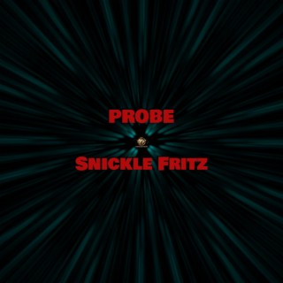 Probe