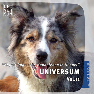 ORF Universum Vol.11