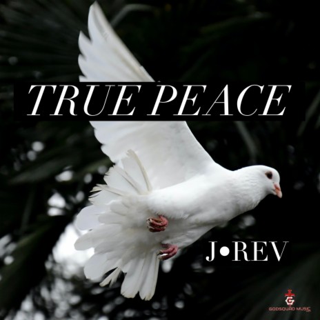True Peace | Boomplay Music