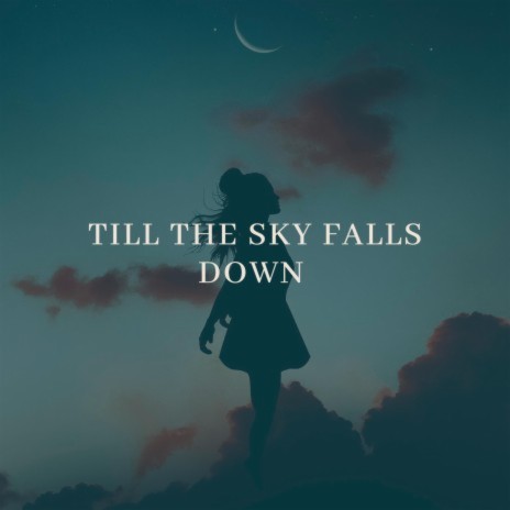 Till The Sky Falls Down (Rowald Steyn's Monokini Beach Original Mix) ft. Rowald Steyn | Boomplay Music