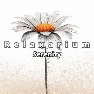 Serenity: Music for Bath & Self-Care