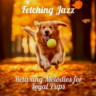 Fetching Jazz: Relaxing Melodies for Loyal Pups