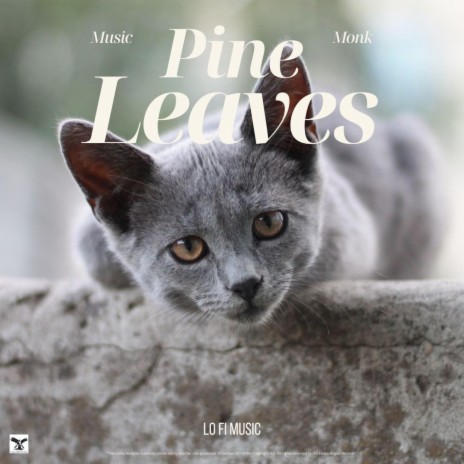 Pine Leaves | Boomplay Music