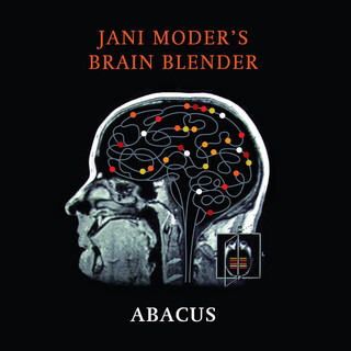 Jani Moder's Brain Blender Abacus