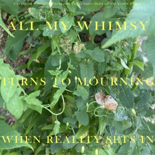 All My Whimsy Turns To Mourning When Reality Sets In