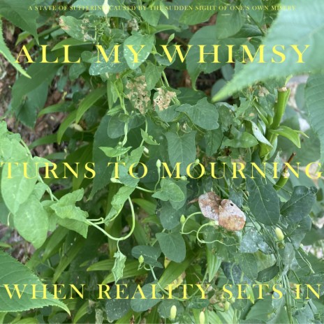 All My Whimsy Turns To Mourning When Reality Kicks In
