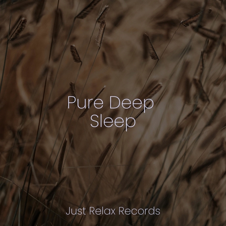 Melodic Bounce of Echoes ft. Lounge relax & Musica Reiki | Boomplay Music