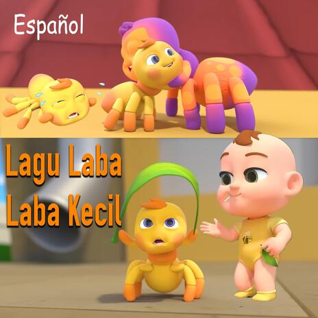 Laba-laba Kecil