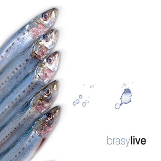 Brasy (Live)