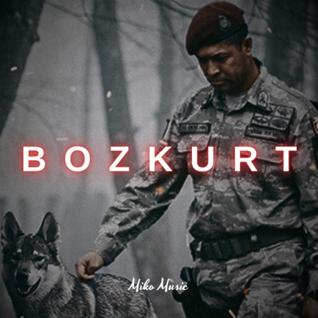 Bozkurt | Boomplay Music