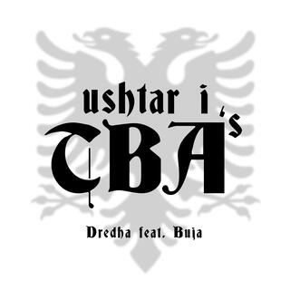 Ushtar i TBA's