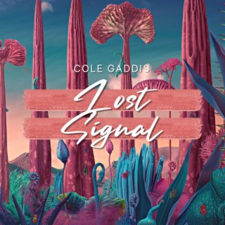 Lost Signal