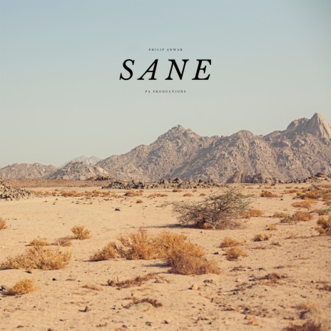 SANE | Boomplay Music